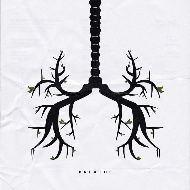 "Breathe" - Native Leaves