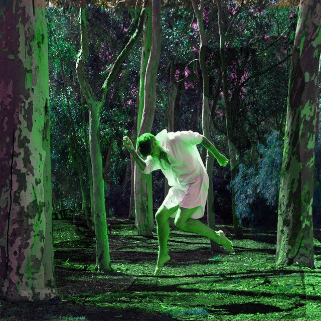 "Green Night" - Carry The Branches