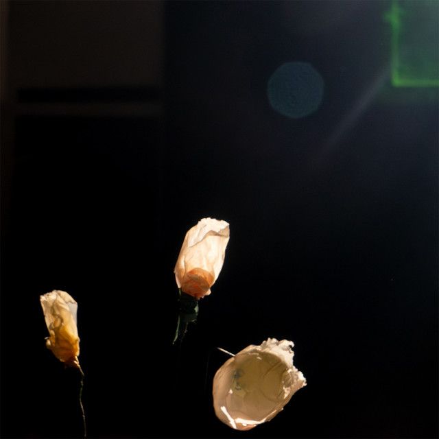 "Seit ich ihn gesehen" - KOSCHKA