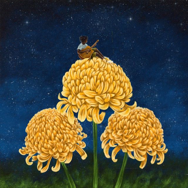"Chrysanthemum" - Sterling Hudson