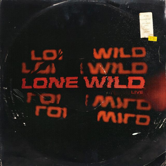 "Live: In the Orange Glow" - Lone Wild