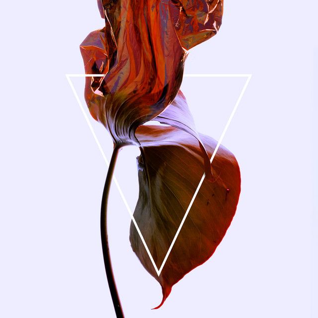 "How Can I Trust" - Verboten Berlin