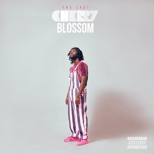 "The Last Cherry Blossom" - Dear Silas